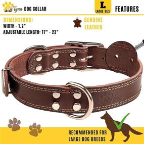 img 2 attached to ADITYNA Heavy Duty Leather Dog Collar - Premium Quality Collar for Large Dogs - Stylish Black and Brown Dog Collars (Brown, L)