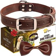 adityna heavy duty leather dog collar - premium quality collar for large dogs - stylish black and brown dog collars (brown, l) logo