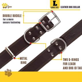 img 1 attached to ADITYNA Heavy Duty Leather Dog Collar - Premium Quality Collar for Large Dogs - Stylish Black and Brown Dog Collars (Brown, L)