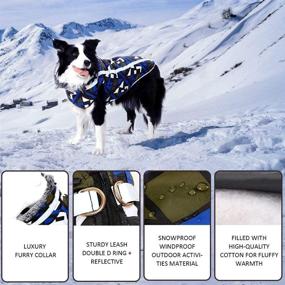 img 3 attached to Geometric Winter Dog Coat - Cozy, Snow-Proof, and Wind-Proof Dog Jacket with Adjustable Furry Collar. Reflective Pet Vest for Small, Medium, and Large Dogs. Sturdy Leash D Ring for Walking and Hiking.