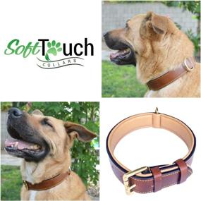 img 3 attached to Premium Leather Padded Dog Collar by Soft Touch Collars - Ultimate Luxury for Your Canine Companion