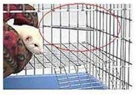 img 2 attached to 🐾 Effective Corner Deterrent for Marshall Ferrets - 4-Pack Solution