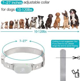 img 1 attached to 🐶 Bousnic Dog Shock Collar: Waterproof Rechargeable Training Collar for 10-120lbs Dogs - 1000ft Range with Beep/Vibrate/Safe Shock & Indicator Light