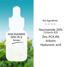 img 1 attached to 💧 Niacinamide + Zinc PCA Serum for Face - Pore Reducer, Skin Tone Treatment, Acne Prone Solution, Elasticity Restorer | 1 Fl Oz