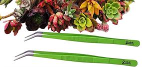 img 2 attached to 🌿 Succulent-Oriented Dual Tweezers: Optimize Your Plant Care