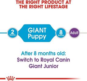 img 1 attached to Healthy Nutrition for Giant Puppies: Royal Canin Dry Dog Food