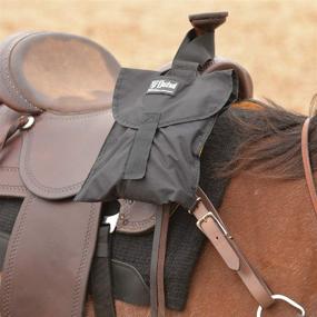 img 1 attached to Cashel Stirrup Extender Saddle Mounting