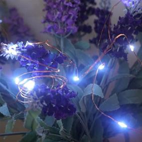 img 1 attached to 9.8ft Cold White Decor: Battery Operated Copper Wire Fairy Lights for ✨ Vases, Christmas Tree, Bedroom - Starry LED Rice Lights, Perfect for Wedding Decoration