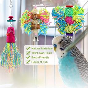 img 1 attached to 🦜 BWOGUE Bird Chewing Toys Parrot Shredder Toy Shred Foraging Hanging Cage Toy 3 Pack for Conure Cockatiel African Grey Amazon