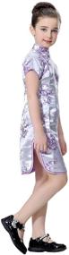 img 2 attached to 🌺 Chinese Purple Girls' Clothing - Bitablue Wintersweet Blossom Dresses