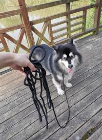 img 1 attached to 🐶 YUCFOREN Long Dog Leash: Ultimate Recall Training Rope Leash - Perfect for Puppy, Small, Medium & Large Breeds! (16FT/30FT/50FT/100FT)