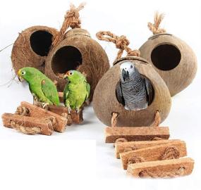 img 3 attached to Hanging Bird House with Ladder: Natural Coconut Fiber Shell for Parrot Parakeet Lovebird Finch Canary - Ideal Bird Nest Breeding Cage Accessory, Pet Bird Supplies