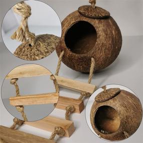 img 1 attached to Hanging Bird House with Ladder: Natural Coconut Fiber Shell for Parrot Parakeet Lovebird Finch Canary - Ideal Bird Nest Breeding Cage Accessory, Pet Bird Supplies