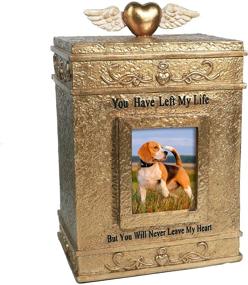 img 4 attached to 🐾 Pet Lovers Stuff | Pet Urn for Dogs or Cats Ashes | Memorial Cremation Box with Picture | Perfect Urns to Honor your Pets: Dog, Cat, Guinea Pig, Rabbit