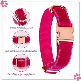 img 1 attached to 🐶 HiPeep Dog Collar and Leash Set | Adjustable Velvet Pet Collars for Small/Medium/Large Dogs | Elegant Design | Matching Leash Included | Roes-M