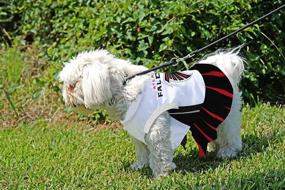 img 1 attached to Stylish Atlanta Falcons NFL Cheerleader Dress for Dogs - Size Medium: Perfect Pet Apparel for Game Day!