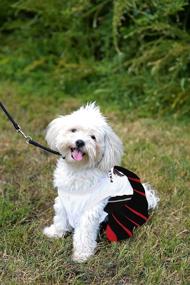 img 2 attached to Stylish Atlanta Falcons NFL Cheerleader Dress for Dogs - Size Medium: Perfect Pet Apparel for Game Day!