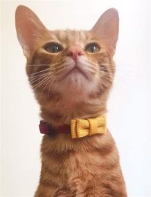 img 2 attached to 🐱 HoneyBunny Cat Collar: Super Cute Style with Bowtie, Bell & Breakaway Buckle