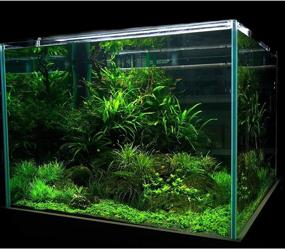 img 1 attached to 🐠 Haiabei 4 Pack Aquarium Fake Grass Mat Fish Tank Artificial Turf Aquatic Grass Plastic Lawn 10 inches Square Landscape Green Plant with 16 Suction Cups for Saltwater Freshwater Tropical Fish Tank Decoration