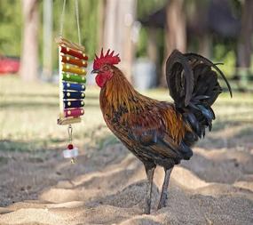 img 1 attached to 🌈 Rainbow-Colored Vehomy Chicken Xylophone Toy - Wooden Xylophone with 8 Metal Keys and Integrated Pecking Toy & Grinding Stone for Chicken Coops