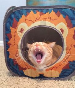 img 3 attached to 🐱 Optimized Search: Jungle Cat Cube Combo, Collapsible Cat Cube, Bed, Tunnel, and Toys for Cats by Kitty City