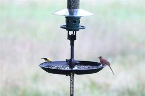 img 3 attached to 🦜 Premium Seed Catcher Tray for 1-Inch Straight Birding Pole - No Pole or Feeder Included