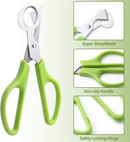 img 1 attached to 🔪 Efficiently Slice and Trim with Calary 3Pcs Quail Egg Cutter Scissors - Versatile Kitchen Shears (Green)