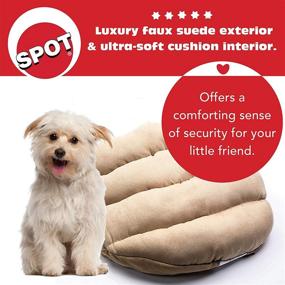 img 2 attached to 🐾 Discover the SPOT Ethical Pets Sleep Zone Cuddle Cave: Attractive, Durable, Comfortable, Washable Bed for Your Beloved Pet