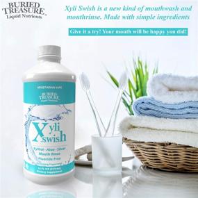 img 1 attached to 🌿 Xyli Swish - All Natural Nano Silver, Xylitol & Aloe Mouthwash - Fight Bad Breath & Dry Mouth - Alcohol and Fluoride Free - Peppermint Flavor - 16oz