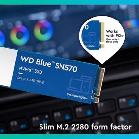 img 1 attached to Western Digital 1TB NVMe SSD: Gen3 x4 🔒 PCIe, Up to 3,500 MB/s, M.2 2280 - WDS100T3B0C