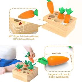 img 2 attached to 🥕 Монтессори деревянная игра для сортировки по размеру и счета для мальчиков и девочек 1 года - морковная урожайная развивающая игрушка для детей 2-3 лет, подарок для мелкой моторики