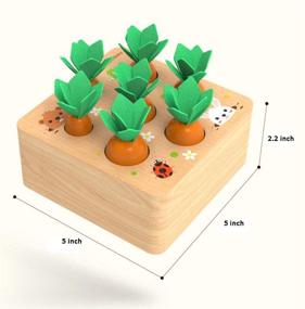 img 3 attached to 🥕 Монтессори деревянная игра для сортировки по размеру и счета для мальчиков и девочек 1 года - морковная урожайная развивающая игрушка для детей 2-3 лет, подарок для мелкой моторики