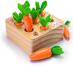 img 4 attached to 🥕 Монтессори деревянная игра для сортировки по размеру и счета для мальчиков и девочек 1 года - морковная урожайная развивающая игрушка для детей 2-3 лет, подарок для мелкой моторики