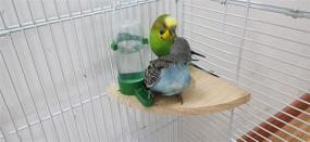 img 3 attached to Swinging Chewing Non Toxic Suitable Parakeets