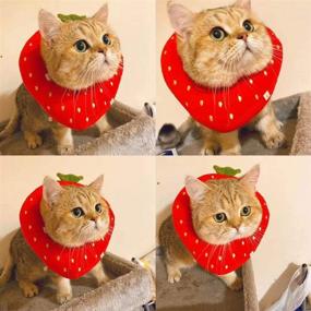 img 3 attached to 🍓 ADOGGYGO Adjustable Cat Recovery Collar: Cute Strawberry Neck Cone for Wound Healing After Surgery