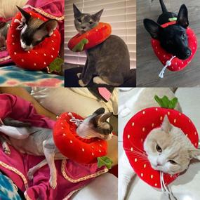 img 2 attached to 🍓 ADOGGYGO Adjustable Cat Recovery Collar: Cute Strawberry Neck Cone for Wound Healing After Surgery