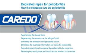 img 1 attached to 🦷 Toothpaste: The Natural Solution to Periodontitis, Outperforming Drugs and Medical Treatments, Reduces Dental Calculus - 100g x 2