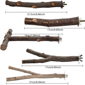 img 1 attached to 🐦 EBaokuup 5шт. Набор палочек для попугаев - ветки дерева для маленьких попугаев, волнистых попугаев, кокатилов, конюров, любвеобильным попугаям