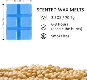 img 3 attached to 🕯️ DERDUFT Scented Wax Melts Cubes - Soy Candle Wax for Women - Bohemia Forest, Summer Winds, Ocean Breeze, Fresh Linen - for Wax Warmers