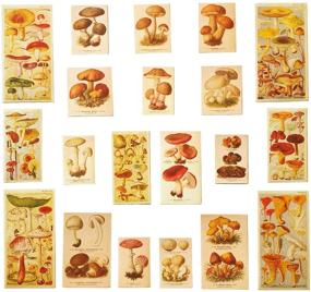 img 4 attached to 🍄 Doraking 60PCS Vintage Washi Stickers - Perfect for Scrapbooks, Notebooks & Planners - Illustrated Mushroom Designs