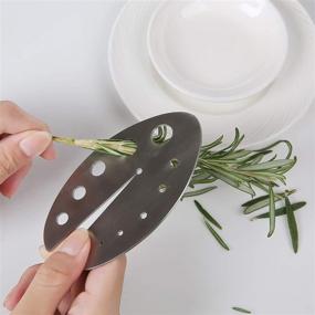 img 3 attached to Stainless Steel Herb Leaf Zipper Tool for Efficiently Stripping Kale, Chard, Collard Greens, Rosemary, and Thyme - Herb Stripper for Enhanced SEO