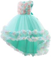 princess flower photography dresses christmas girls' clothing for dresses logo