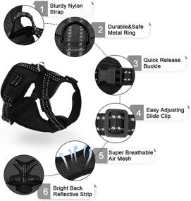 img 3 attached to 🐱 Escape-Proof Cat Harness and Leash Set: Adjustable Vest with Reflective Trim, Ideal for Outdoor Walking of Cats and Puppies