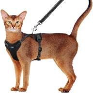 🐱 escape-proof cat harness and leash set: adjustable vest with reflective trim, ideal for outdoor walking of cats and puppies logo