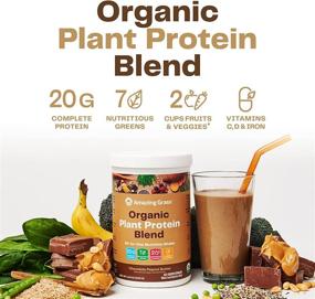 img 2 attached to 🌱 Amazing Grass Organic Plant Protein Blend: Vegan Protein Powder with Beet Root, Chocolate Peanut Butter, 18 Servings - All-In-One Nutrition Shake