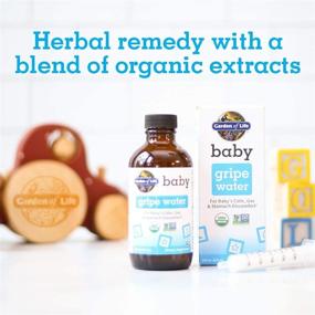 img 2 attached to 🌱 Garden of Life Baby Gripe Water: Organic Herbal Remedy for Colic, Gas & Stomach Discomfort in Newborns and Infants - Chamomile, Lemon Balm, Ginger, Vegan & Non-GMO