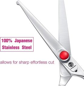 img 1 attached to 👧 6-Inch Hair Cutting Scissors with Rounded Safety Tips for Kids - Japanese Stainless Steel, Silver Finish - For Children, Baby, Toddler, Girls, Boys, Men, Women