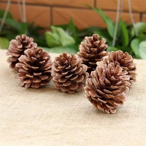 img 3 attached to 🎄 Christmas Package Pinecones Decorations 25-inch by QHZHANG