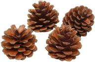 🎄 рождественский набор декоративных шишек "pinecones decorations" размером 25 дюймов от qhzhang логотип