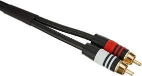 img 3 attached to 🔌 Monoprice Premium RCA Cable - 100ft, Black, 2 RCA Plug to 2 RCA Plug, Male to Male, 22AWG – Boost SEO